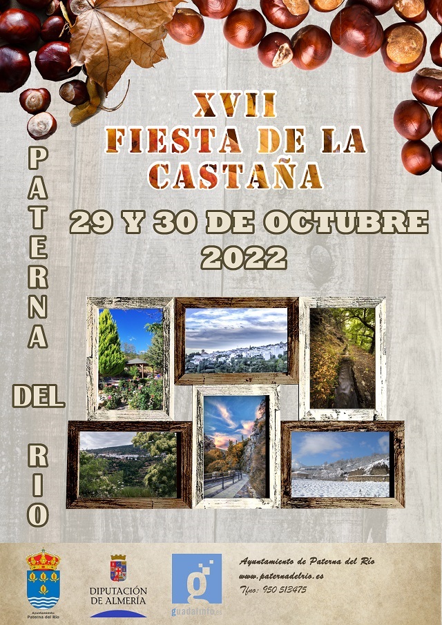 CARTEL INFORMATIVO FIESTA CASTAÑA